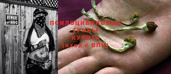 первитин Арсеньев